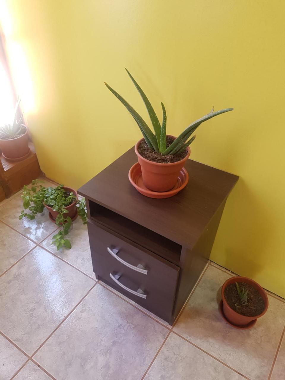 סן פדרו דה אטקאמה Departamento Luna Andina מראה חיצוני תמונה